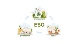 ¿Qué son los criterios ESG?